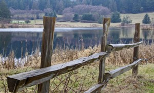 san juan islands community