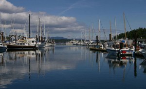economic diversity san juan islands